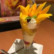 ファリアの画像