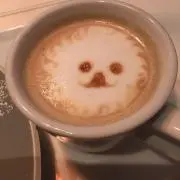 Cooの画像
