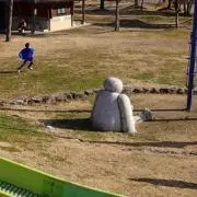 クリの画像