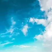 chaaanの画像
