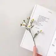 Aの画像