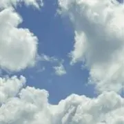 なっぱの画像