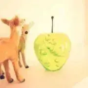 asukaの画像