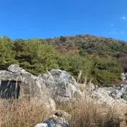 りゅうの画像