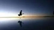 tikihumuの画像
