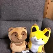 たぬきつねの画像
