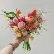 あかいろチーム