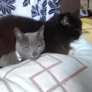 Junの画像