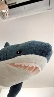 たかたかたんたかの画像