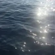 はるの画像