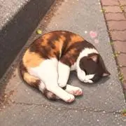 オリの画像