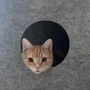うー（即購入・無言取引⭕️）の画像