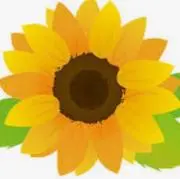 ひまわり❁しばらく発送ゆっくりめですの画像