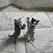 まるこの画像