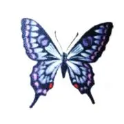 mihi