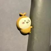 ヒコマリの画像