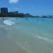 Yokoの画像