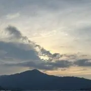 みぃの画像