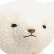 Kの画像