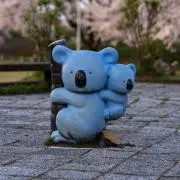 raraの画像