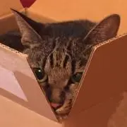 59の画像