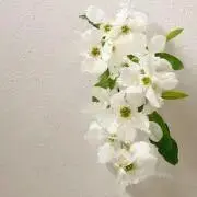 Iの画像