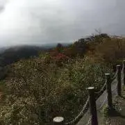 ゆゆゆのゆの画像