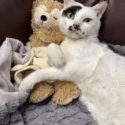 福