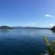 あいの画像