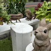 天然記念物の画像