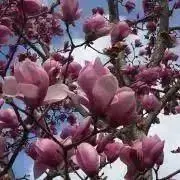 hirooooの画像