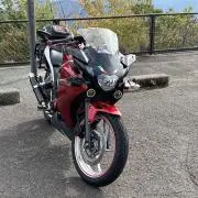 赤兎