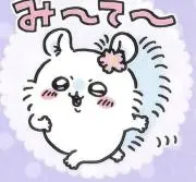 さらの画像