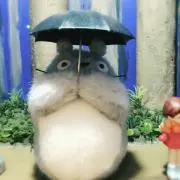 どんちゃん