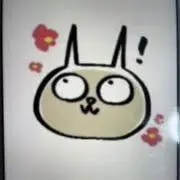 神猫