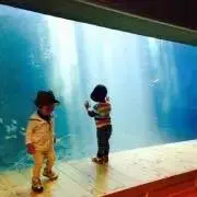 ゆぴ