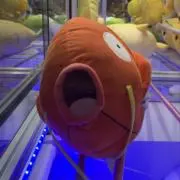 ハムパチの画像