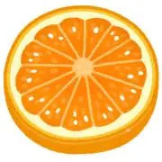 おれんじの画像