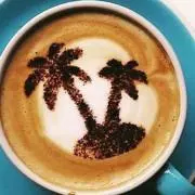 coconuts pieの画像