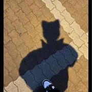 クロクマの画像