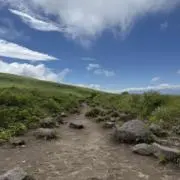 ドラゴンボールが好きなライ