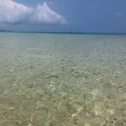 のすけの画像