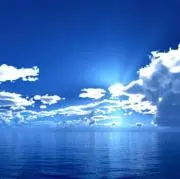 ぱるの画像