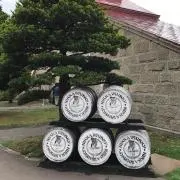 チャンミーの画像