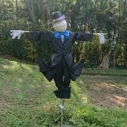 seaの画像