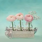 La tienda de Keiの画像