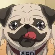 ふにゃりん