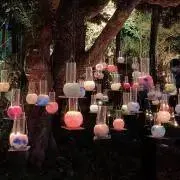 cacakoの画像