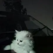 あーる