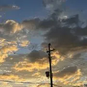 フク田の画像